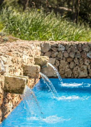 Finca Ses Curtanetas
